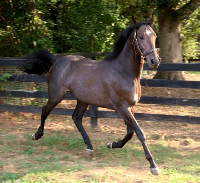 Stevie Loverboy's first day of freedom!