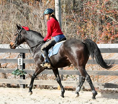 Stevie Loverboy is all decked out for the holidays! December 6, 2007 