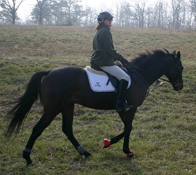 Stevie Loverboy enjos his first "field trip" with his mom. arch 1, 2008