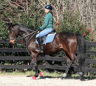 Stevie Loverboy is unconcerned as a helicopter flys over head. March 12, 2008