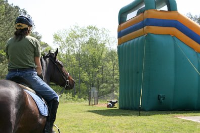 OTTB - Stevie Loverboy and the blowup slide. May 2, 2008
