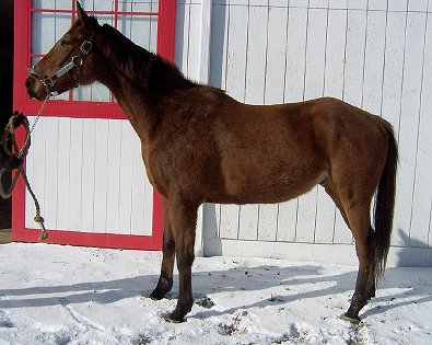 Please call for more information. We do not give prices by e-mail.