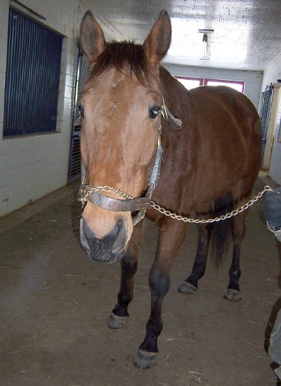 Please call for more information. We do not give prices by e-mail.