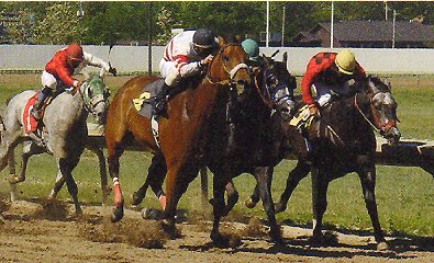 OTTB - "S Master" ended his racing career sound.