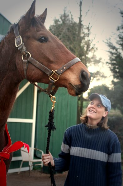 Congratulations to Halliea Milner on the purchase of former Bits & Bytes Farm Prospect Horse for sale - Show Master. 