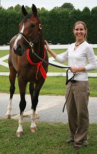 Thoroughbred Horse For Sale