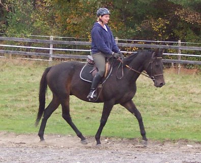 OTTB - Shelby's Hill enjoying a ride with his mom Sarah Farnham.