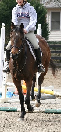 OTTB - Splash Protect aka "Finnegan" and young rider Mollie. February 15, 2009 
