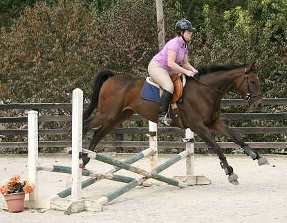 Splash Protect has been started over fences.