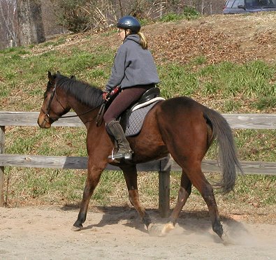 Lea's second ride on Taken Chances. Febryary 2008