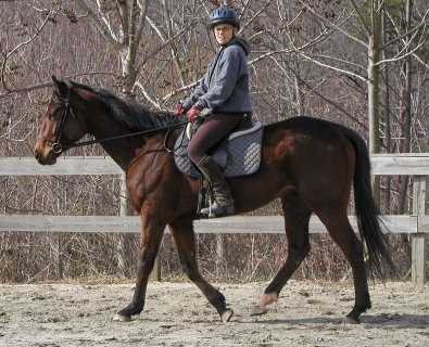 Lea's second ride on Taken Chances. Febryary 2008