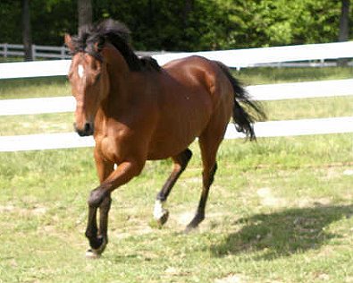 Taken Chances is now FOR SALE.