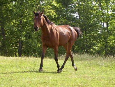 Taken Chances is now FOR SALE.