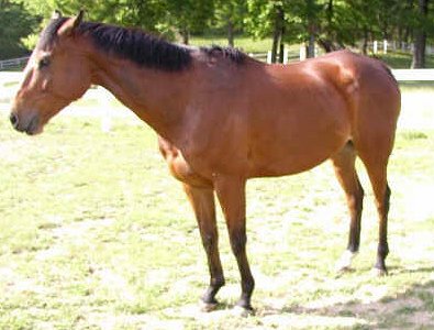 Taken Chances is now FOR SALE.