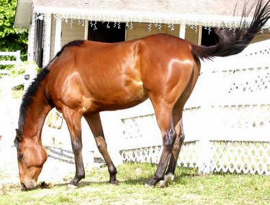 Taken Chances is now FOR SALE.