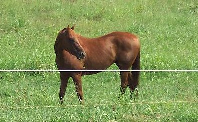 Title Search is enjoying the green grass of Tennessee.