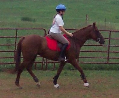OTTB - Title Search and his mom Mary Jennnifer Dunlap.