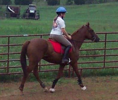 OTTB - Title Search and his mom Mary Jennnifer Dunlap.