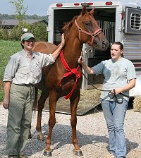 Title Search with Elizabeth and his new mom Mary Jennifer Dunlap of Tennessee. July 28, 2007