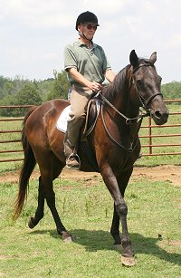 Bob Goodman had the chance to ride the half brother of Charlie.