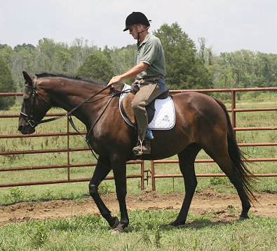 Bob on Charlie's half brother "Two Jump".