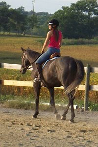 OTTB - Weatherford aka "Roo" is learning to canter and jump with his new mom Julie Buddemeyer. October 30, 2007