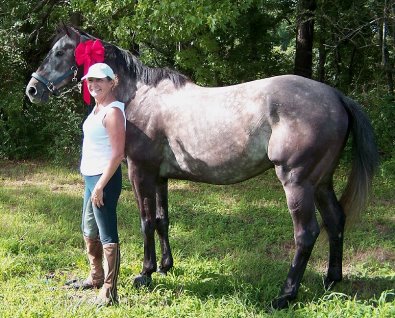OTTB - Weatherford has a second mom after leaving racing to become a sport horse. July 2008 