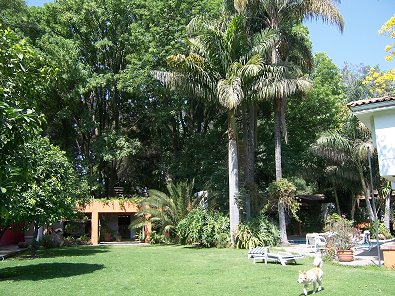 Whozierhurry's home in Mexico.