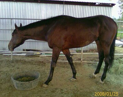 s Design has made it to his new home in Ramona, CA. January 29, 2008