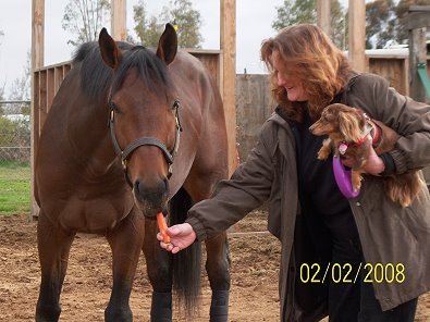 Behren's Design loves his treats and all the attention he can get.