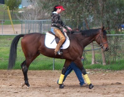 Heather's first ride on OTTB Behren's Design.