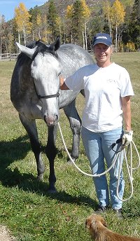Recent Prospect Horse For Sale - Eleanor's Groom has an update on our newest site from his mom Lydia Dequine.