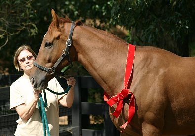 FREE HORSE* - Call ASAP!