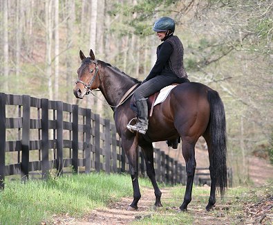 We have four board fencing, trails and a lighted arena with jumps.
