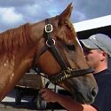 \\\"Titanium\\\" is a Prospect Filly For Sale