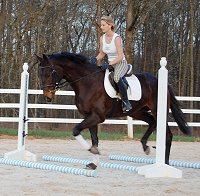 Vilas County in training for eventing. April 3, 2008