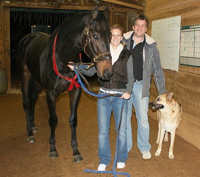 Thoroughbred Horse For Sale