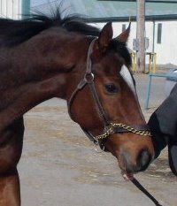 Maybe Satisfied found a home!