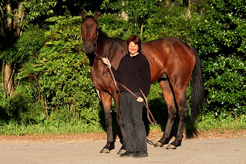 With Wings is a Thoroughbred horse for sale at Bits & Bytes Farm