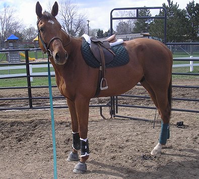 Alley Flash - April 1, 2007