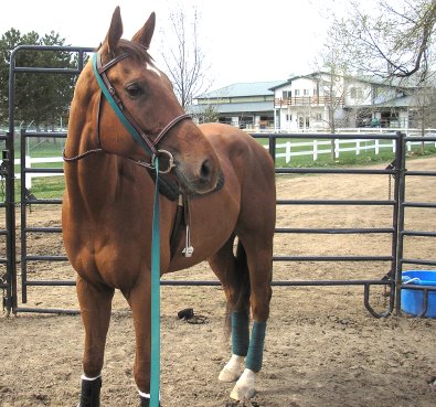 Alley Flash - April 1, 2007