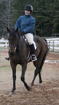 Uncle Bacardi and his trainer Whitney Evans.