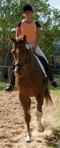 OTTB wins blue ribbons at dressage.