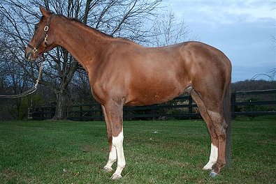 Cashwas sold to Emee Ermel of Houston, Texas.