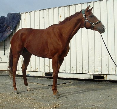 Call for more information.