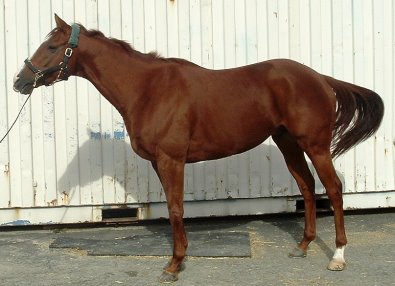 Call for more information.