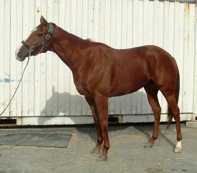Dr. Kenny Winn in November 2006 at the track.