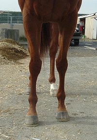 Call for more information.