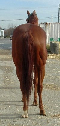 Call for more information.