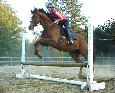 Retraining OTTB Fizzicus to jump. April 22, 2007